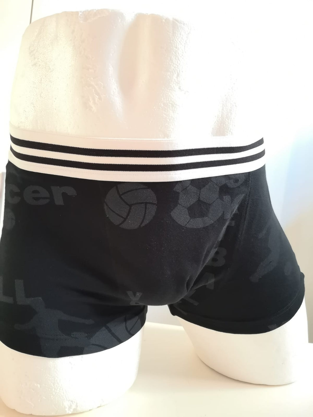 Boxer Julipet IGLES