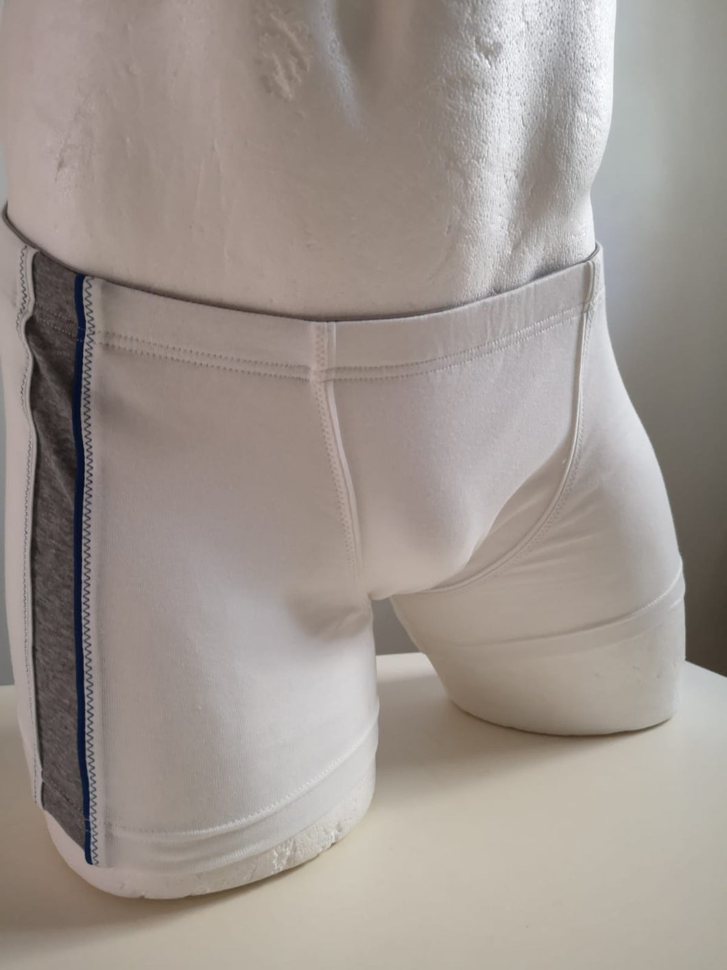 Boxer Julipet IBIDE