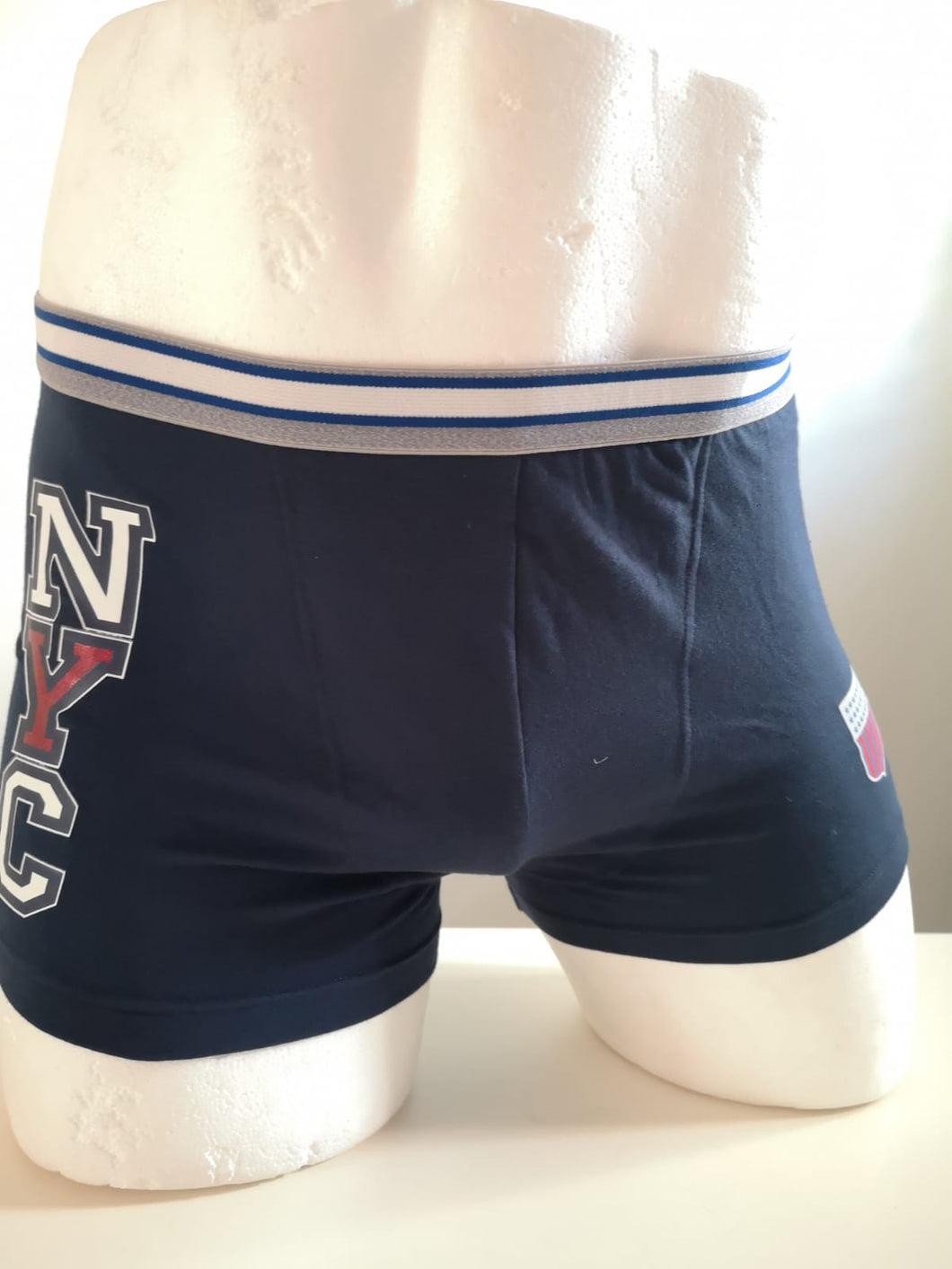 Boxer Julipet IGHEA