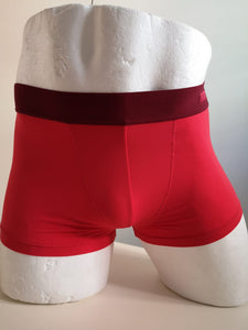 Boxer Julipet ILEEN