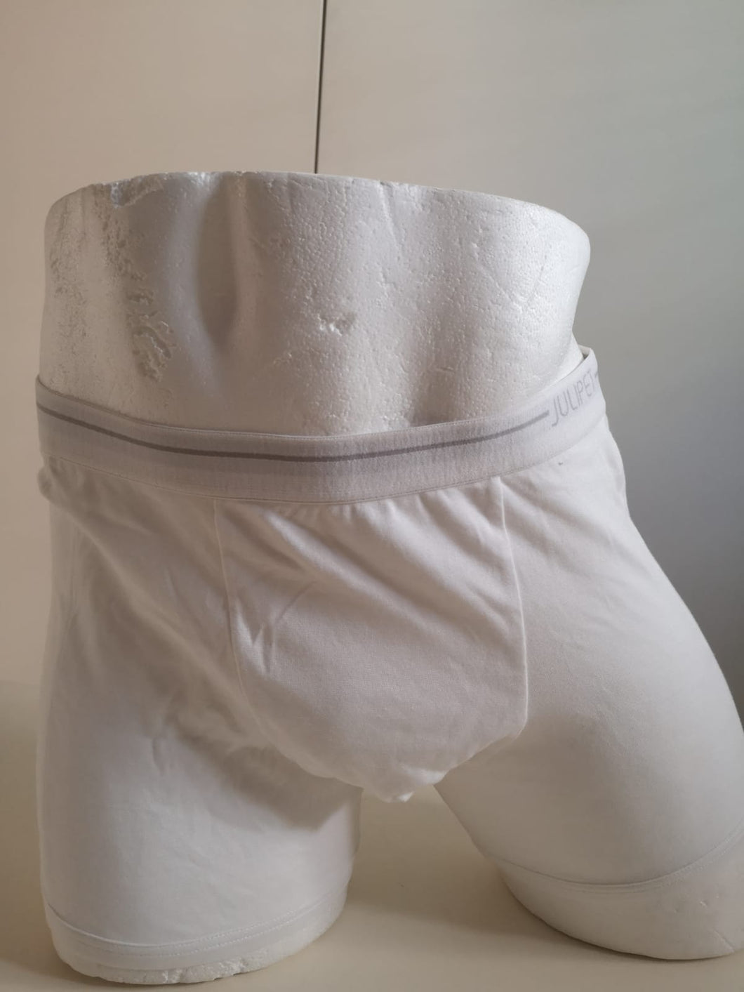 Boxer Julipet INTERCITY