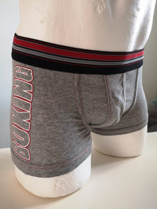 Boxer Julipet ILVE